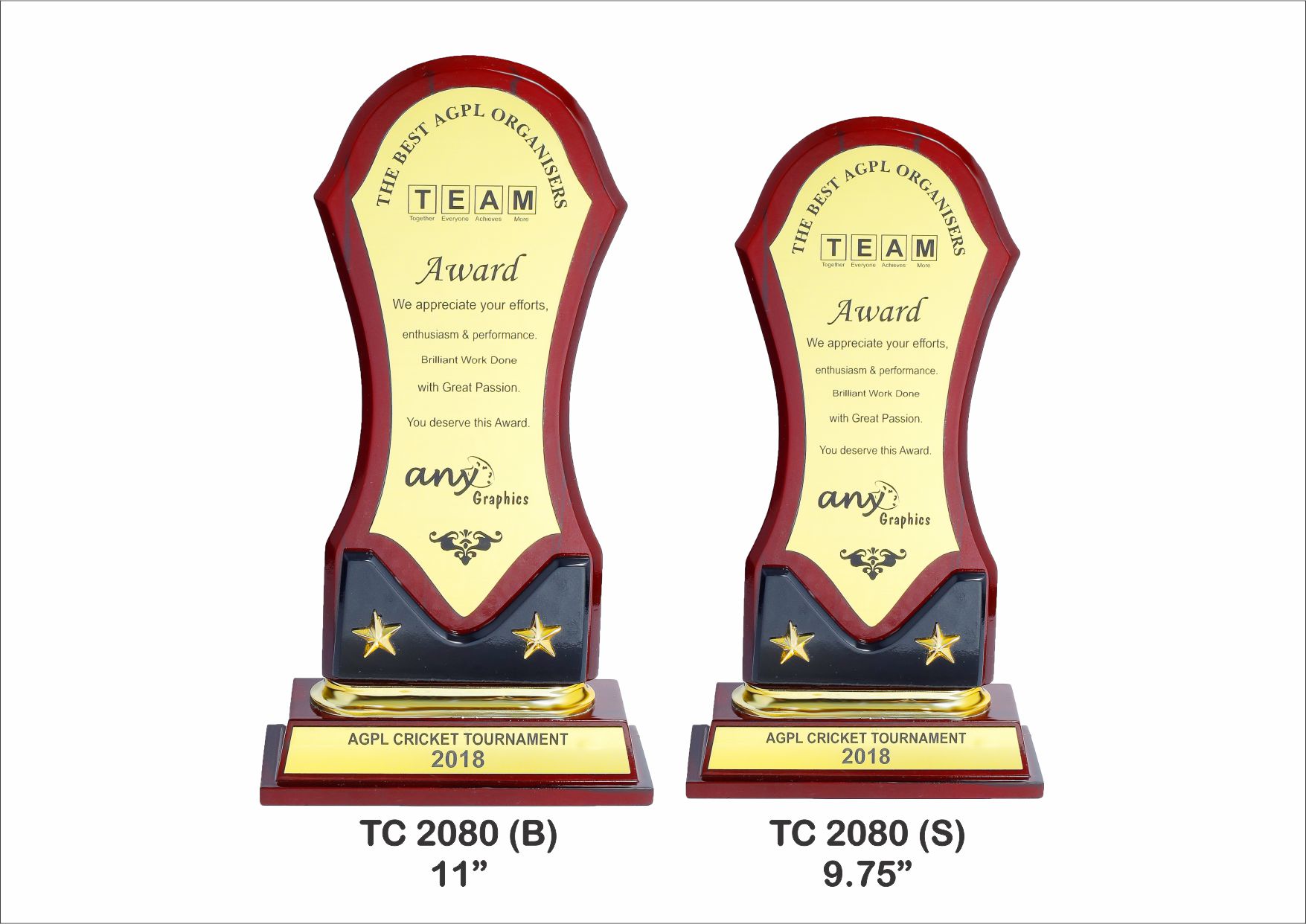 Wooden trophy supplier in Punjab